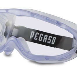 Gafas Pegaso XL 21